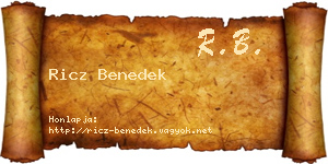 Ricz Benedek névjegykártya