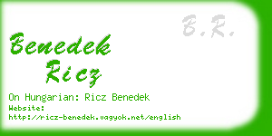 benedek ricz business card
